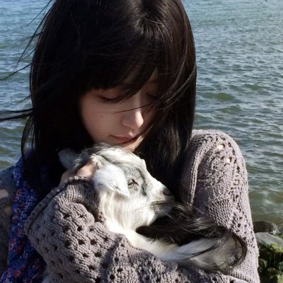 折翼蝴蝶