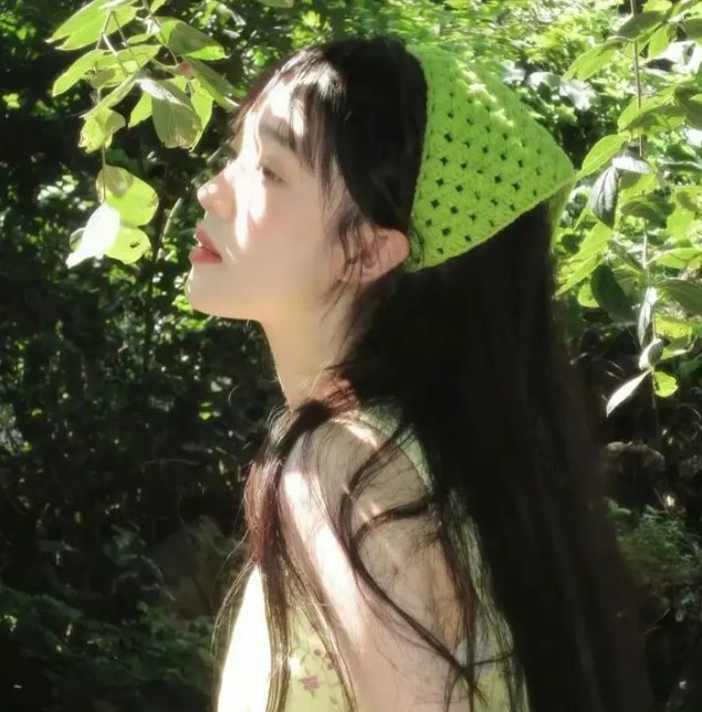 女黑侠木兰花粤语