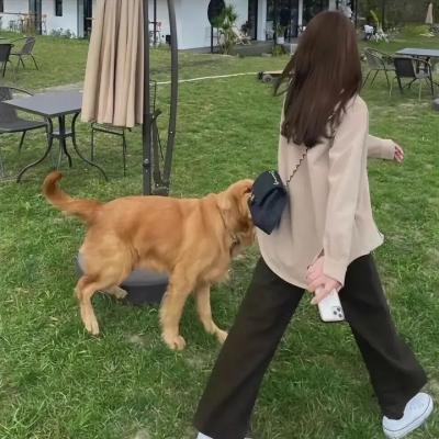 我是蓝好奇