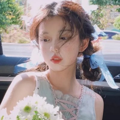 完美的独裁国家